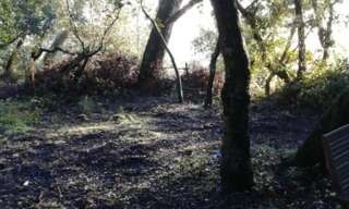 Maison 2 Pièces 50 m² à louer à Lambesc (13410)