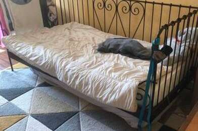 Appartement 2 pièces 420 €