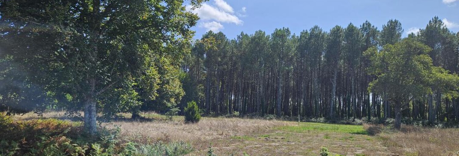 Terrain 1600 m² à construire Uzeste (33730)