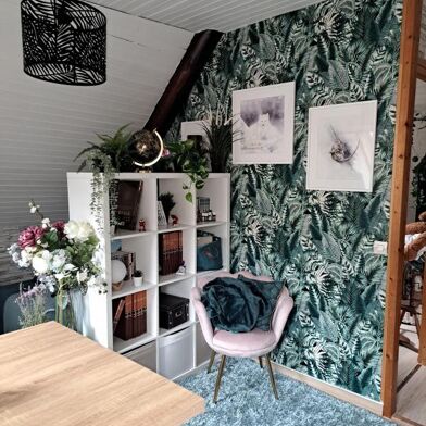 Appartement 1 pièces 390 €