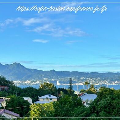 Appartement 2 pièces 239000 €