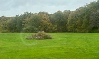 Maison 8 Pièces 320 m² à vendre à Cheverny (41700)