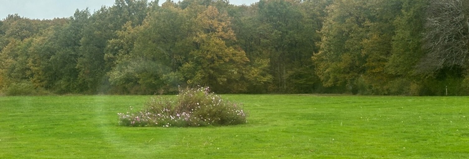 Maison 8 Pièces 320 m² à vendre à Cheverny (41700)