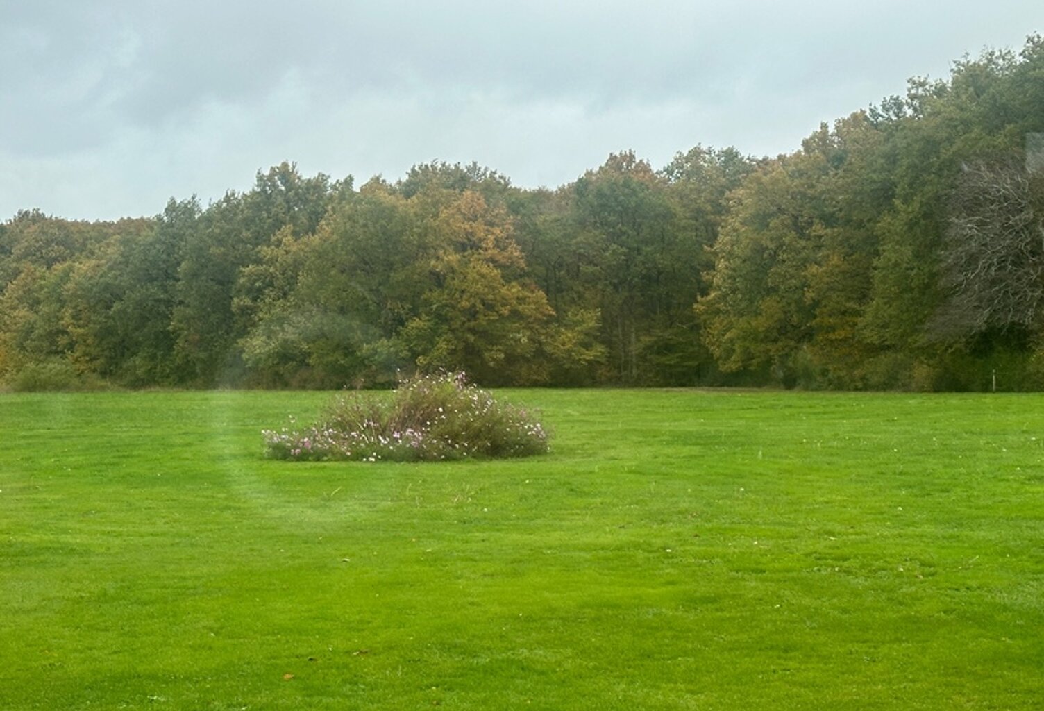 Propriété de charme à vendre proche de CHEVERNY (41) — photo 1