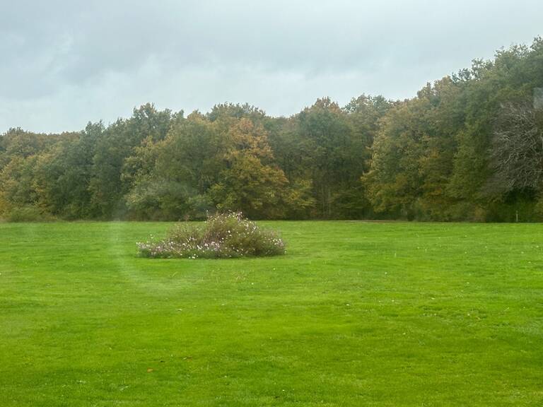 Propriété de charme à vendre proche de CHEVERNY (41) — photo 1