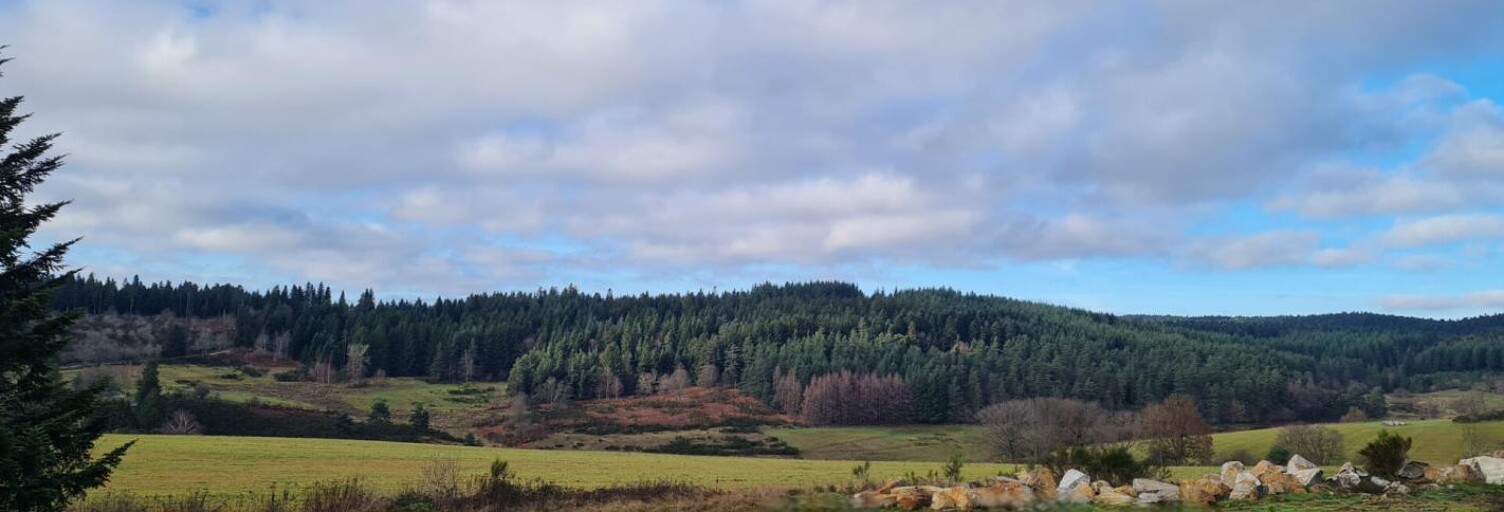 Maison 5 Pièces 175 m² à vendre à Riotord (43220)