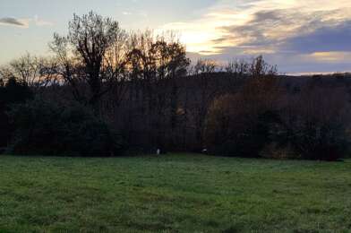 Terrain  29000 €