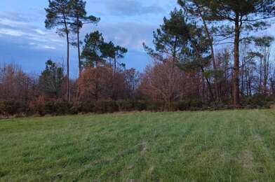 Terrain  24000 €