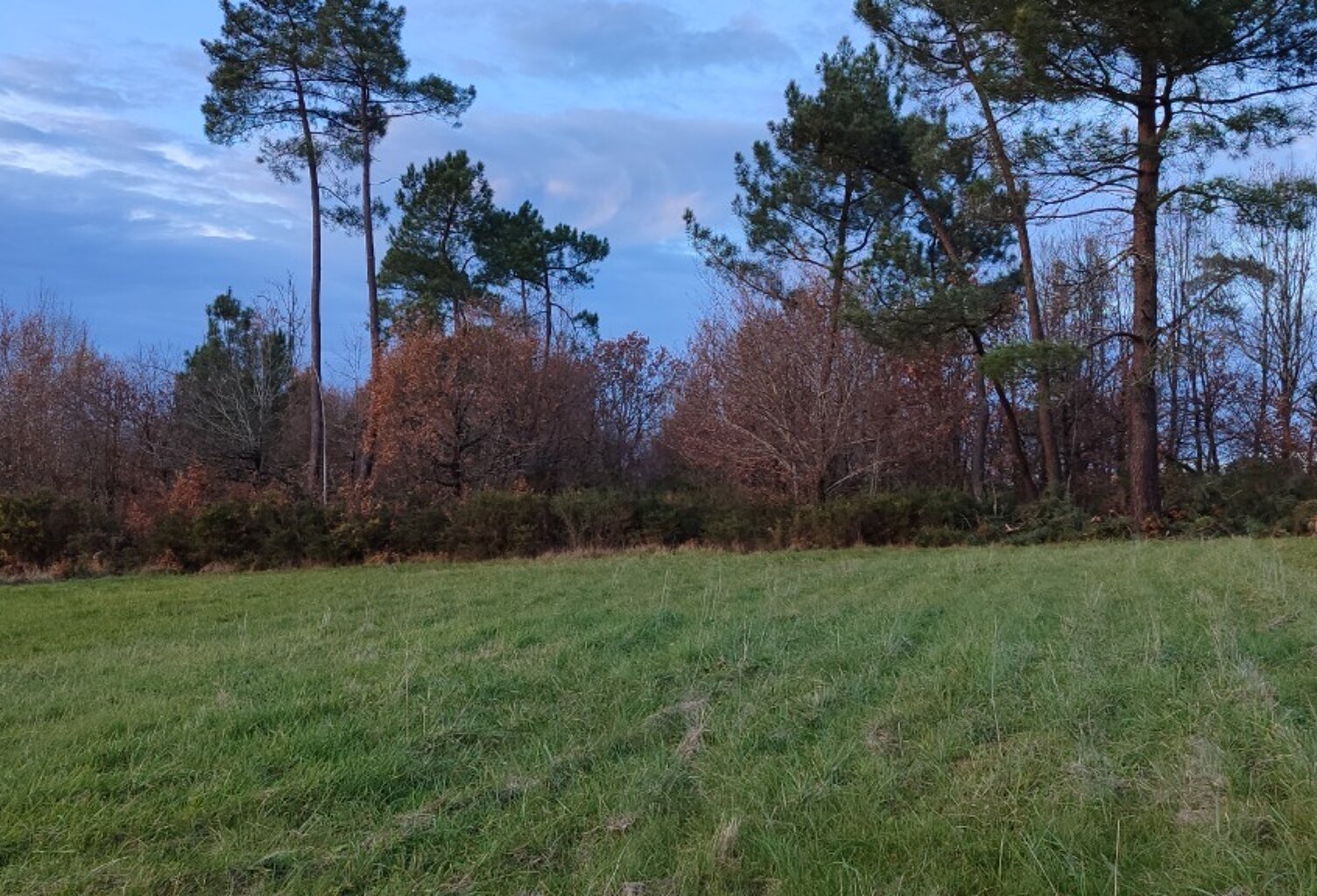 Beau Terrain à bâtir de 1 172 m² avec vue dégagée, borné, prévoir accès, viabilités à proximité.   — photo 1