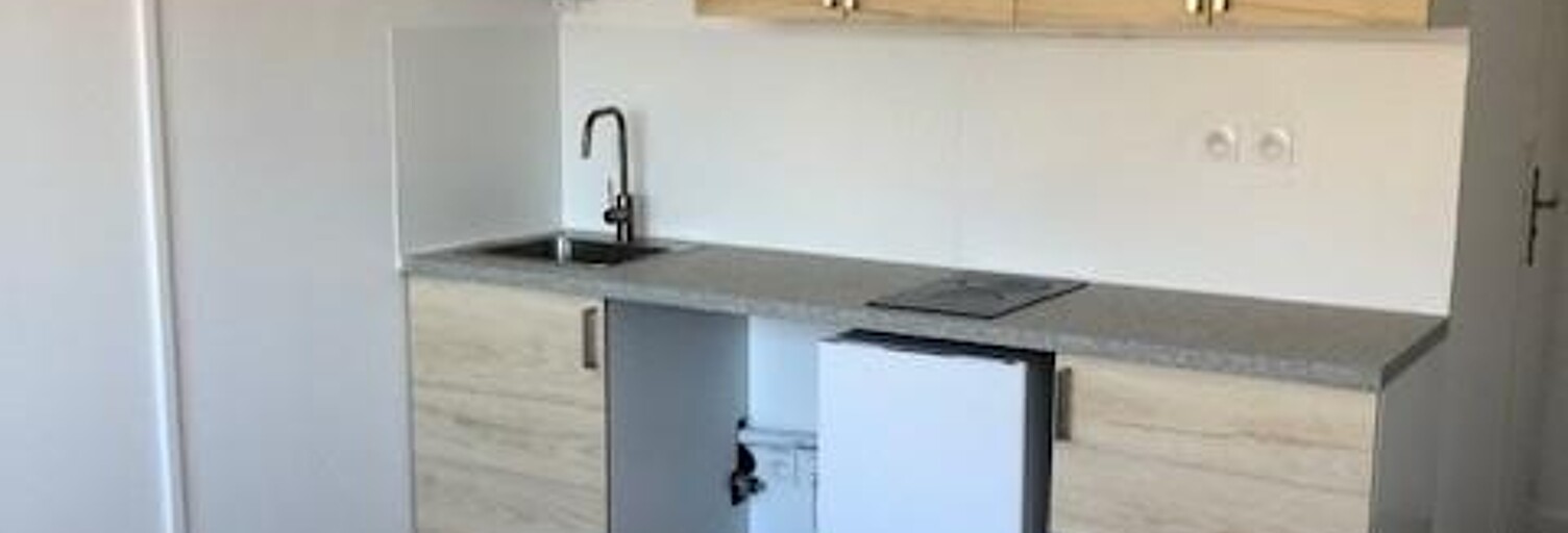 Appartement 1 Pièce 18 m² à louer à Lyon 7 (69007)