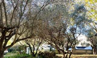 Terrain   m² à vendre à Gallargues-le-Montueux (30660)