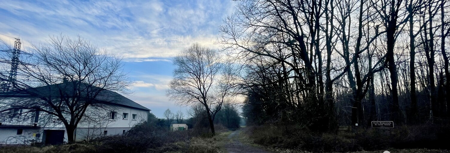 Terrain  2363 m² à vendre à Carling (57490)