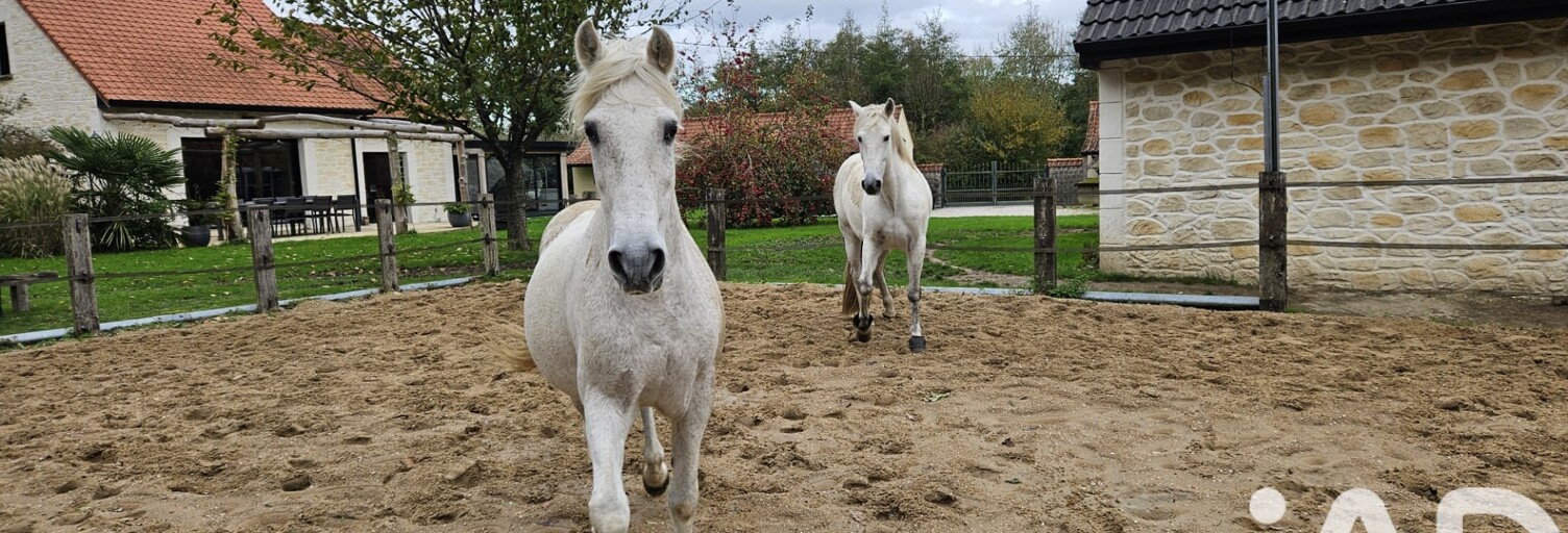 Maison 7 Pièces 201 m² à vendre à Longueville (62142)