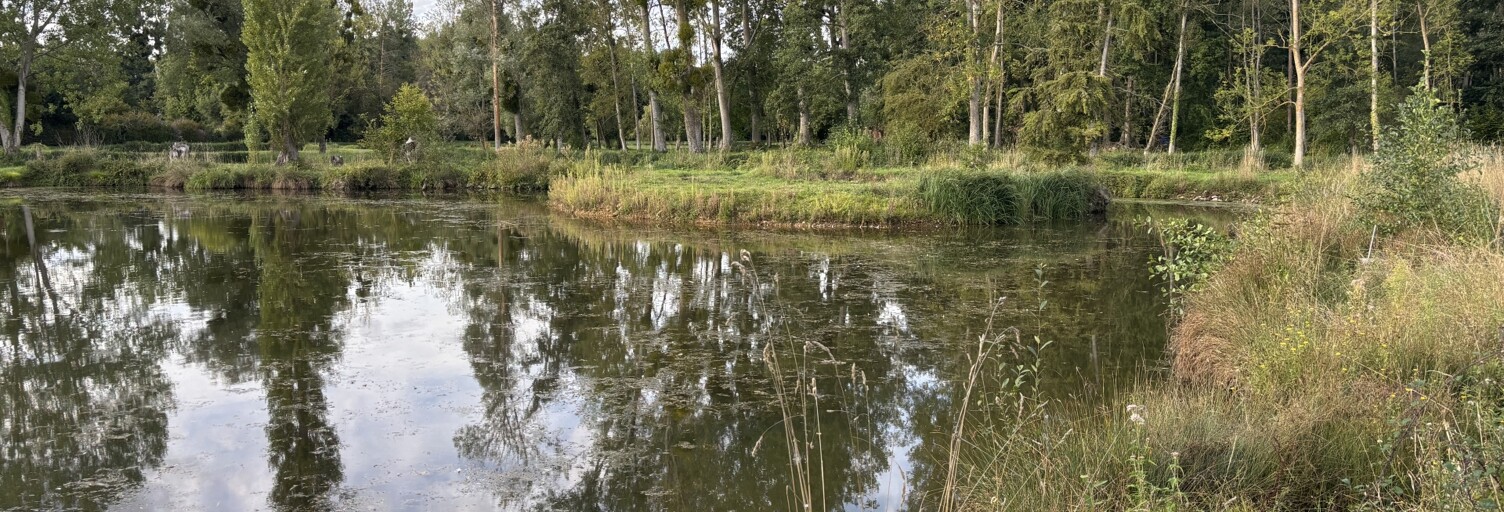 Maison 4 Pièces 80 m² à vendre à Chaudon (28210)