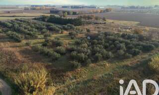 Terrain  11946 m² à vendre à Pia (66380)