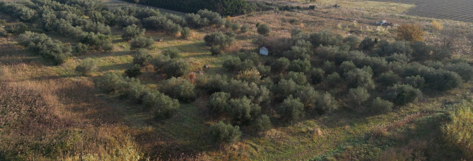 Terrain  11946 m² à vendre à Pia (66380)