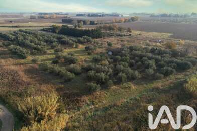 Terrain  41000 €