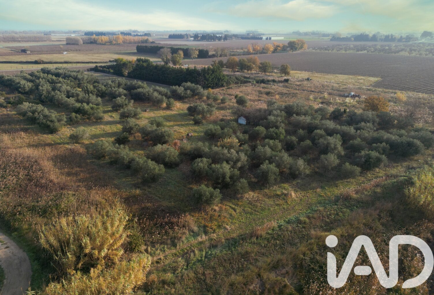 Vente Terrain agricole 11 946 m&sup2; — photo 1