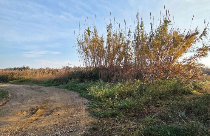 Vente Terrain agricole 11 946 m&sup2; — photo 3