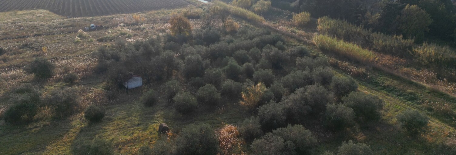 Terrain  5801 m² à vendre à Pia (66380)