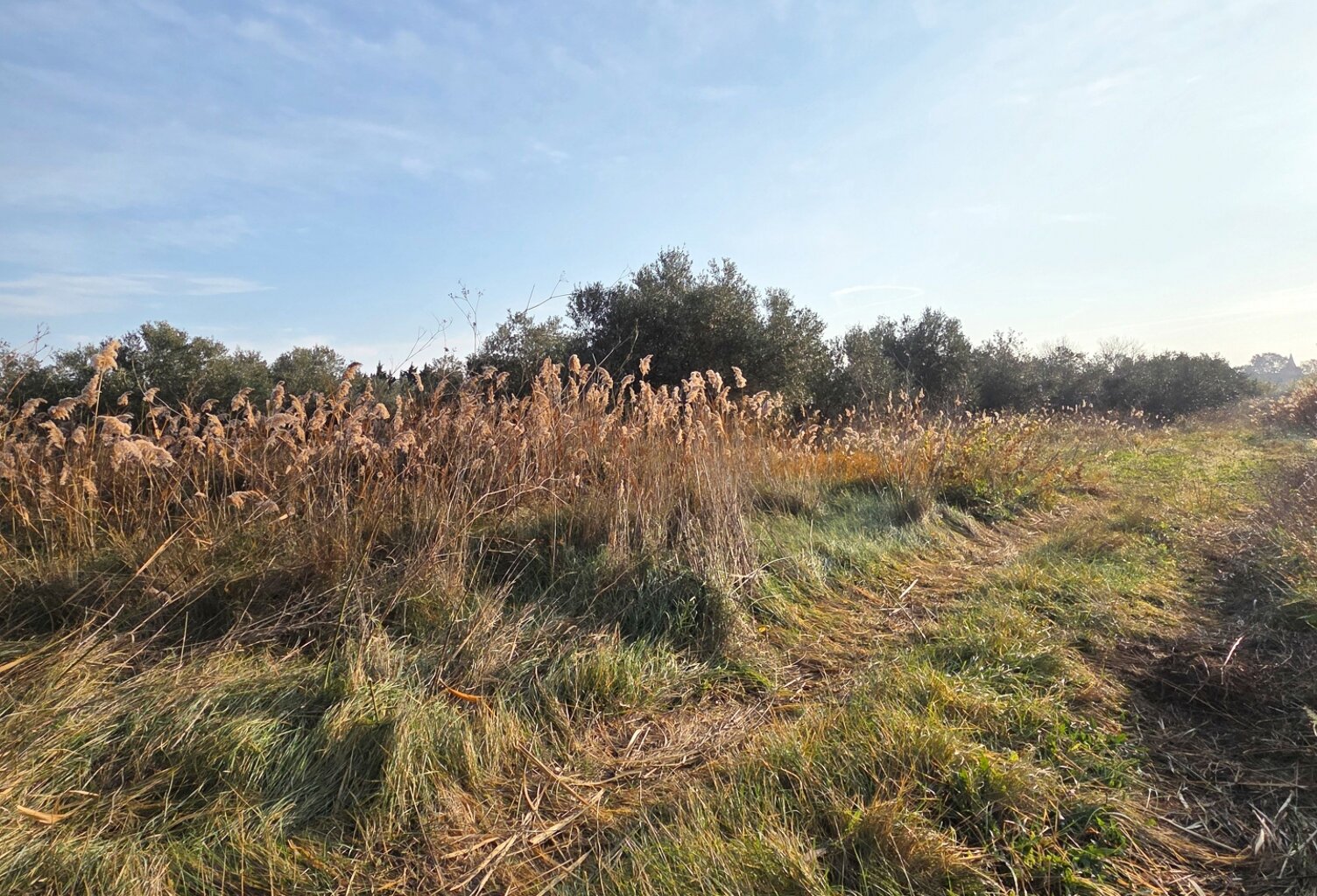 Vente Terrain agricole 5 801 m&sup2; — photo 1