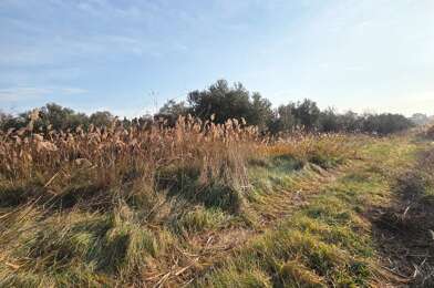 Terrain  17000 €