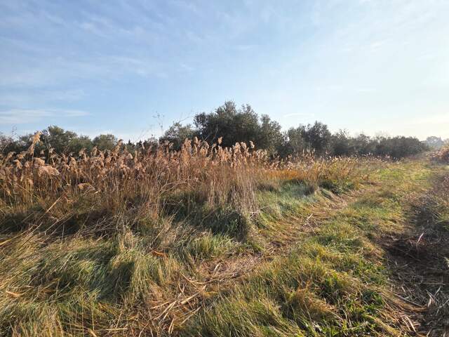 Vente Terrain agricole 5 801 m&sup2; — photo du bien