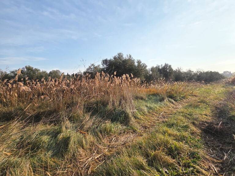 Vente Terrain agricole 5 801 m&sup2; — photo 1
