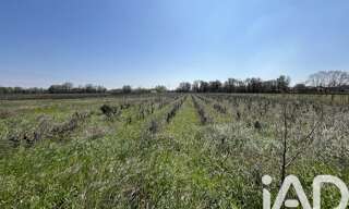 Terrain  8225 m² à vendre à Codolet (30200)