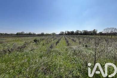 Terrain  16000 €