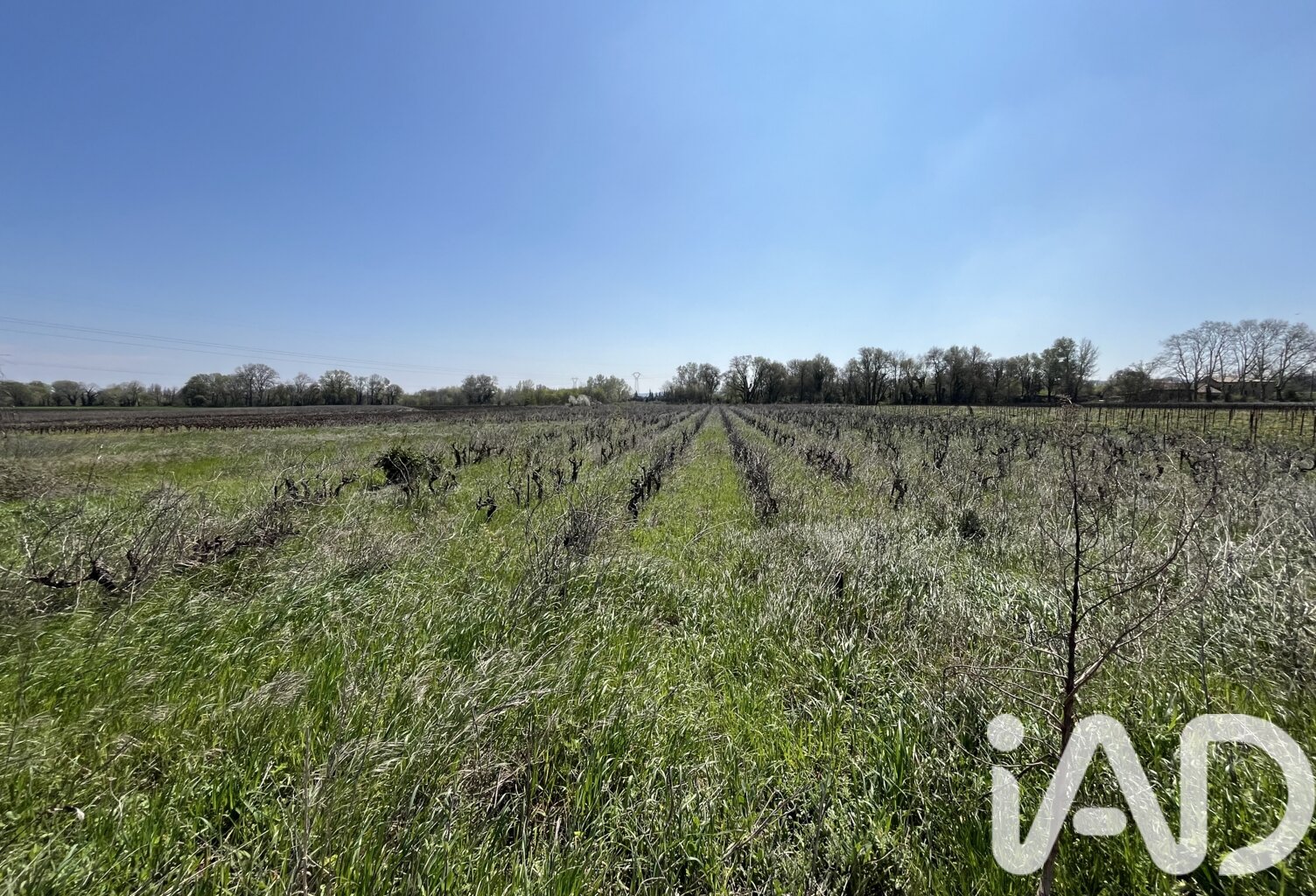 Vente Terrain agricole 8 225 m&sup2; — photo 1