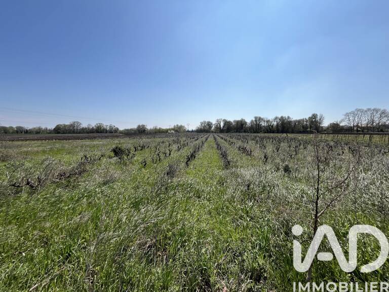 Vente Terrain agricole 8 225 m&sup2; — photo 1