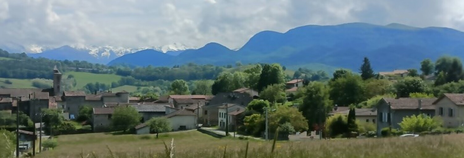 Photo N° 2