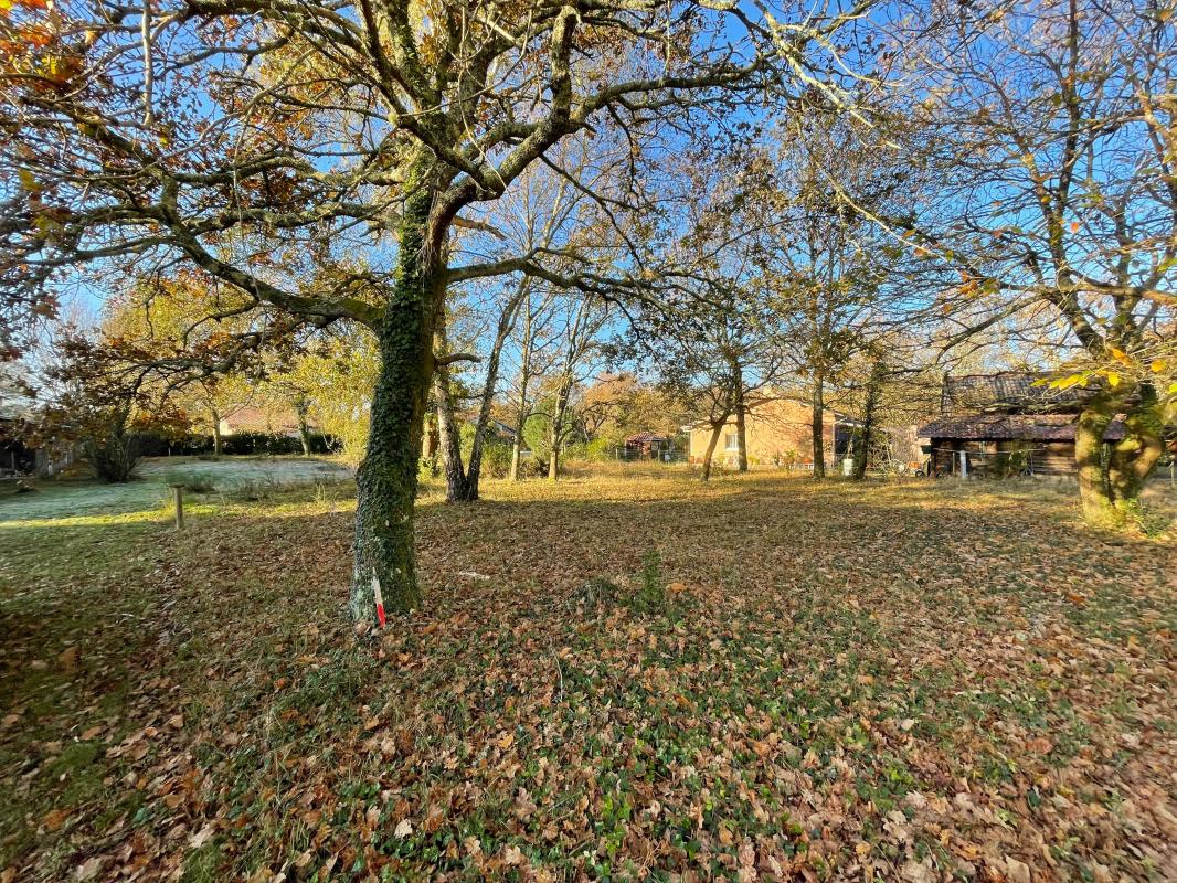 Terrain  à vendre Magescq 40140