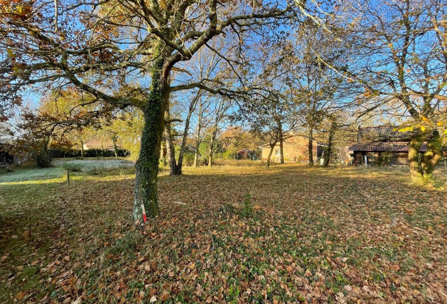 Terrain À Vendre — photo 1