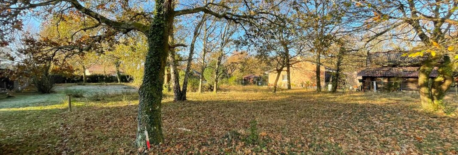 Terrain  1867 m² à vendre à Magescq (40140)