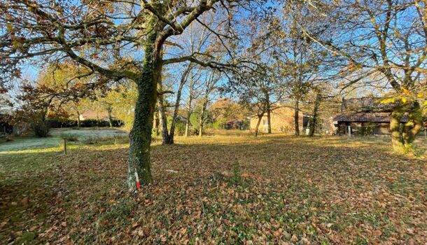 Terrain  à vendre Magescq 40140