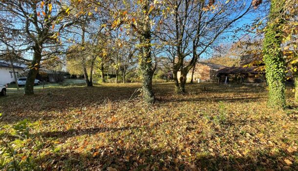 Terrain  à vendre Magescq 40140