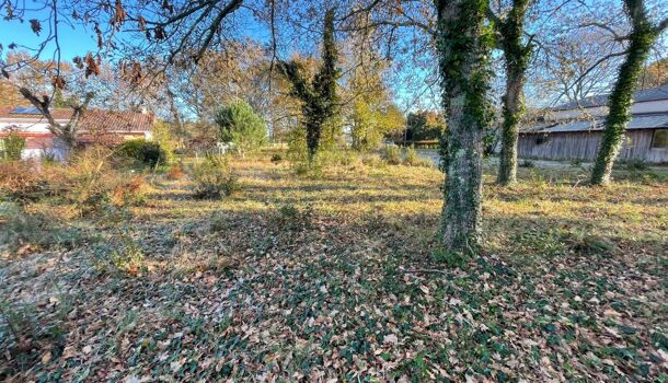 Terrain  à vendre Magescq 40140