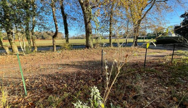 Terrain  à vendre Magescq 40140