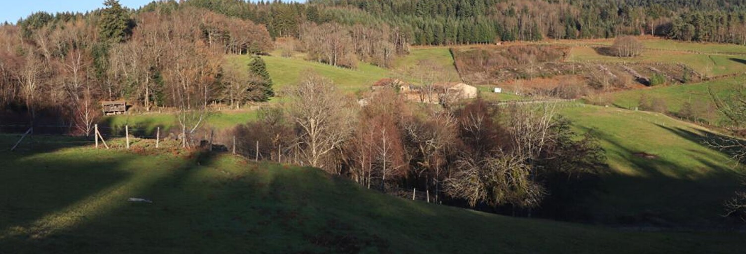 Maison 6 Pièces 350 m² à vendre à Courpière (63120)