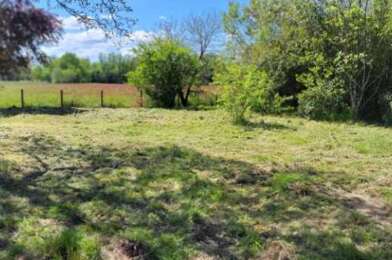 Terrain  65000 €