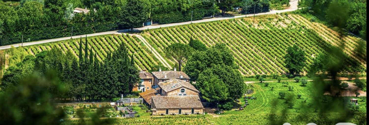 Maison 5 Pièces 817 m² à vendre à Vidauban (83550)