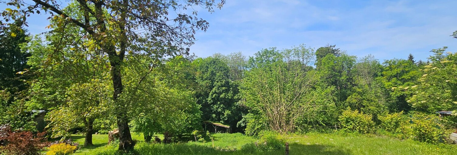Maison 12 Pièces 400 m² à vendre à Condamine (01430)