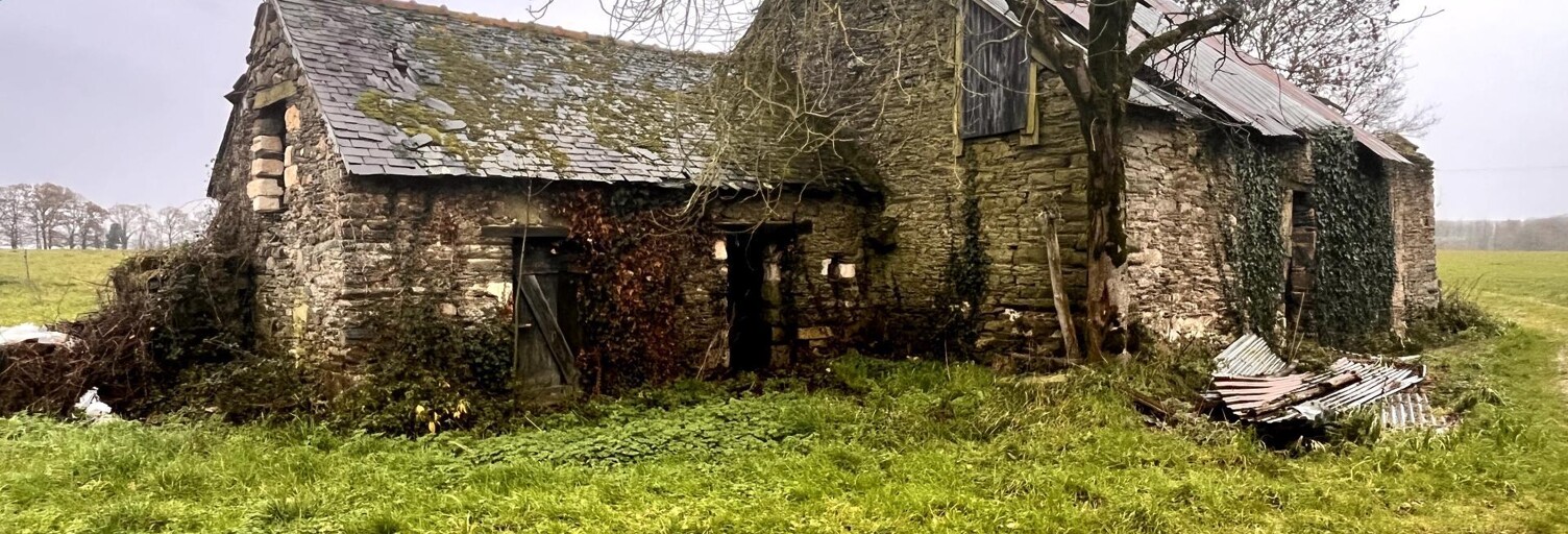 Maison 1 Pièce 63 m² à vendre à Guipry-Messac (35480)