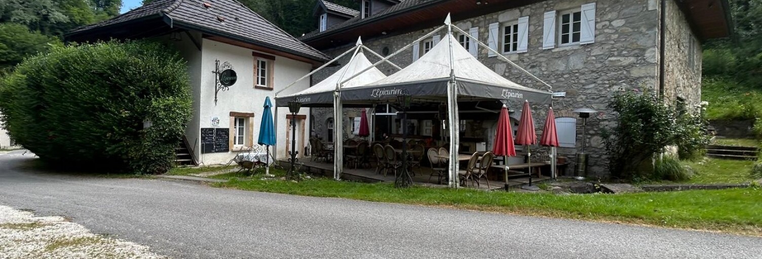 Commerce  600 m² à vendre à Chavanod (74650)