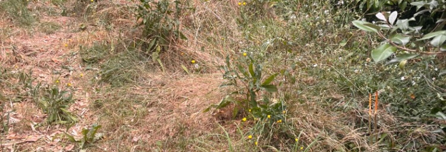 Terrain  400 m² à vendre à Loupiac (33410)