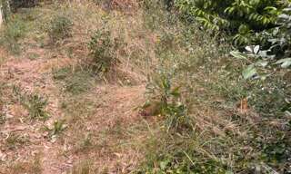 Terrain  400 m² à vendre à Cadillac-sur-Garonne (33410)