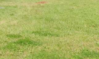 Terrain  600 m² à vendre à Barsac (33720)