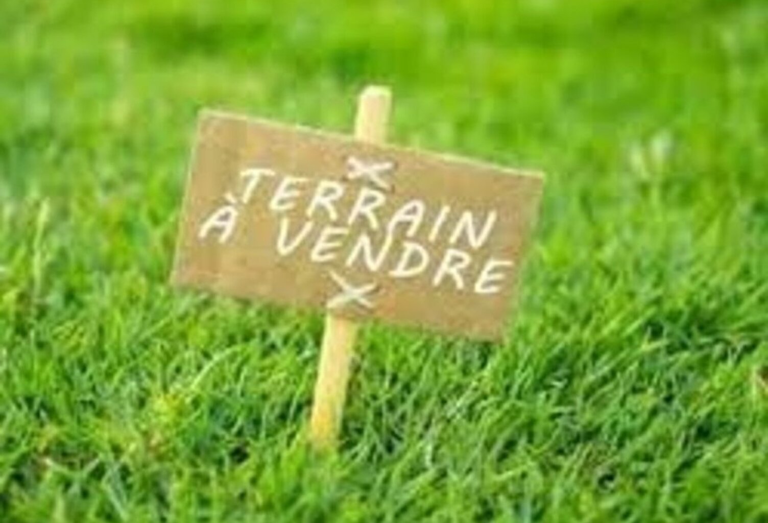 🌿 Terrain à bâtir au sein d’un éco-lieu à Selonnet (04 Alpes-de-Haute-Provence) — photo 1